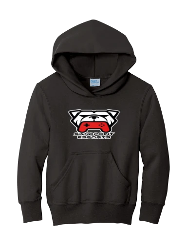 Youth Core Fleece Pullover Hooded Sweatshirt preview, front