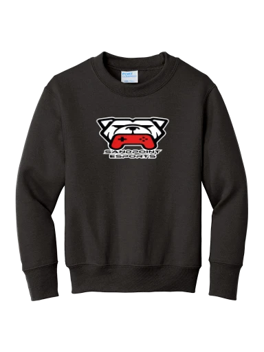 Youth Core Fleece Crewneck Sweatshirt preview, front